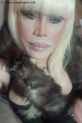 Milano Trans Escort Nicole Vip Venturiny 353 35 38 868 foto selfie 414