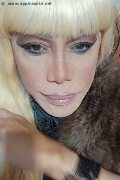 Milano Trans Escort Nicole Vip Venturiny 353 35 38 868 foto selfie 263
