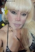 Milano Trans Escort Nicole Vip Venturiny 353 35 38 868 foto selfie 173