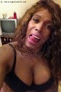 Padova Trans Paolina Mulatta 333 29 10 933 foto selfie 4