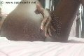 Verona Trans Paula Xxl 376 29 61 336 foto selfie 15