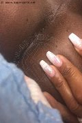 Verona Trans Paula Xxl 376 29 61 336 foto selfie 27
