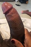 Verona Trans Paula Xxl 376 29 61 336 foto selfie 19