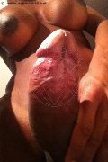 Verona Trans Paula Xxl 376 29 61 336 foto selfie 28