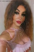 Bologna Trans Escort Rosa Xxxl 328 74 36 345 foto selfie 18