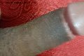 Prato Trans Escort Taina Oliveira 328 53 82 487 foto selfie 175