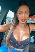 Verona Trans Escort Thayys Castro 329 72 89 046 foto selfie 83