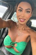 Verona Trans Escort Thayys Castro 329 72 89 046 foto selfie 12