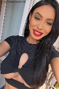 Verona Trans Escort Thayys Castro 329 72 89 046 foto selfie 34