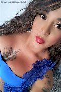 Avellino Trans Escort Trecy 350 98 22 464 foto selfie 6