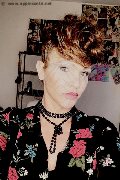 Treviso Trans Valeria 338 87 18 849 foto selfie 593