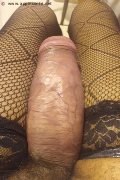 Milano Trans Virna La Super Dotata 349 43 93 969 foto selfie 7