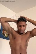Foto Annunci Eros Apollo Boys Milano 3508625713 - 5