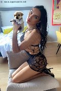 Foto Annunci Eros Elisabetta Transescort Lecco 3281026250 - 2