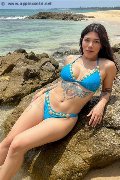 Foto Annunci Eros Flavia Transescort Pesaro 3201153101 - 12