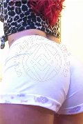 Foto Annunci Eros Helena Girl Como 3274148201 - 35