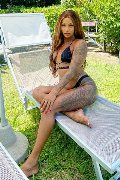 Foto Annunci Eros Hillary Brasiliana Transescort Alba Adriatica 3384136322 - 43