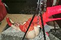 Foto Annunci Eros Mistress Laura Mistresstrans Roma 3208356177 - 16
