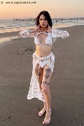 Foto Annunci Eros Nick Miller Trans Verona 3382945956 - 59