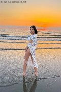 Foto Annunci Eros Nick Miller Trans Verona 3382945956 - 58