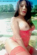 Foto Annunci Eros Nikoll Transescort Rovigo 3508300505 - 7