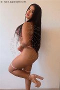 Foto Annunci Eros Sofia Girl Siena 3511378600 - 3