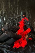 Foto Annunci Eros Tiny Mouse Escort Venezia 3284690312 - 1