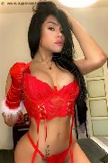 Foto Annunci Eros Vittoria Tovar Transescort Civitanova Marche 3510846906 - 13