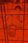 Foto Hot Annunci Eros Giada Escort Varese 3508917939 - 1