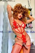 Foto Hot Annunci Eros Stella Transescort Milano 3295563971 - 5