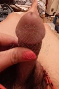 Torino Trans Escort Ladyboy Carlina 350 95 76 839 foto selfie 6