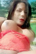 Rovigo Trans Nikoll 350 83 00 505 foto selfie 5